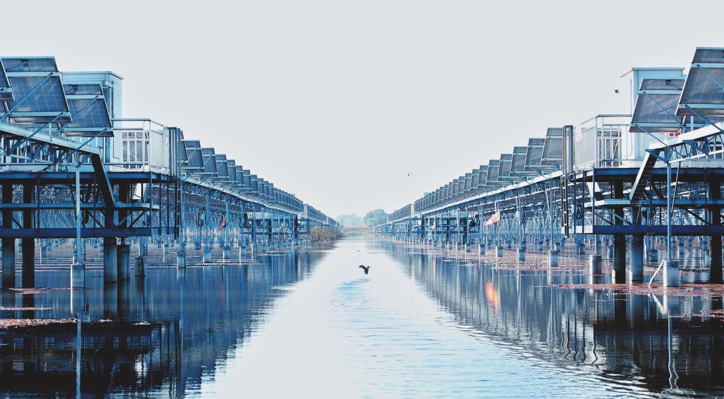 “漁光互補”照亮致富路